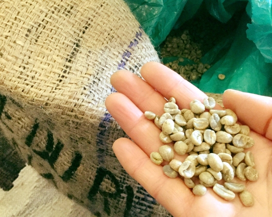 コーヒー豆（生豆／焙煎豆）